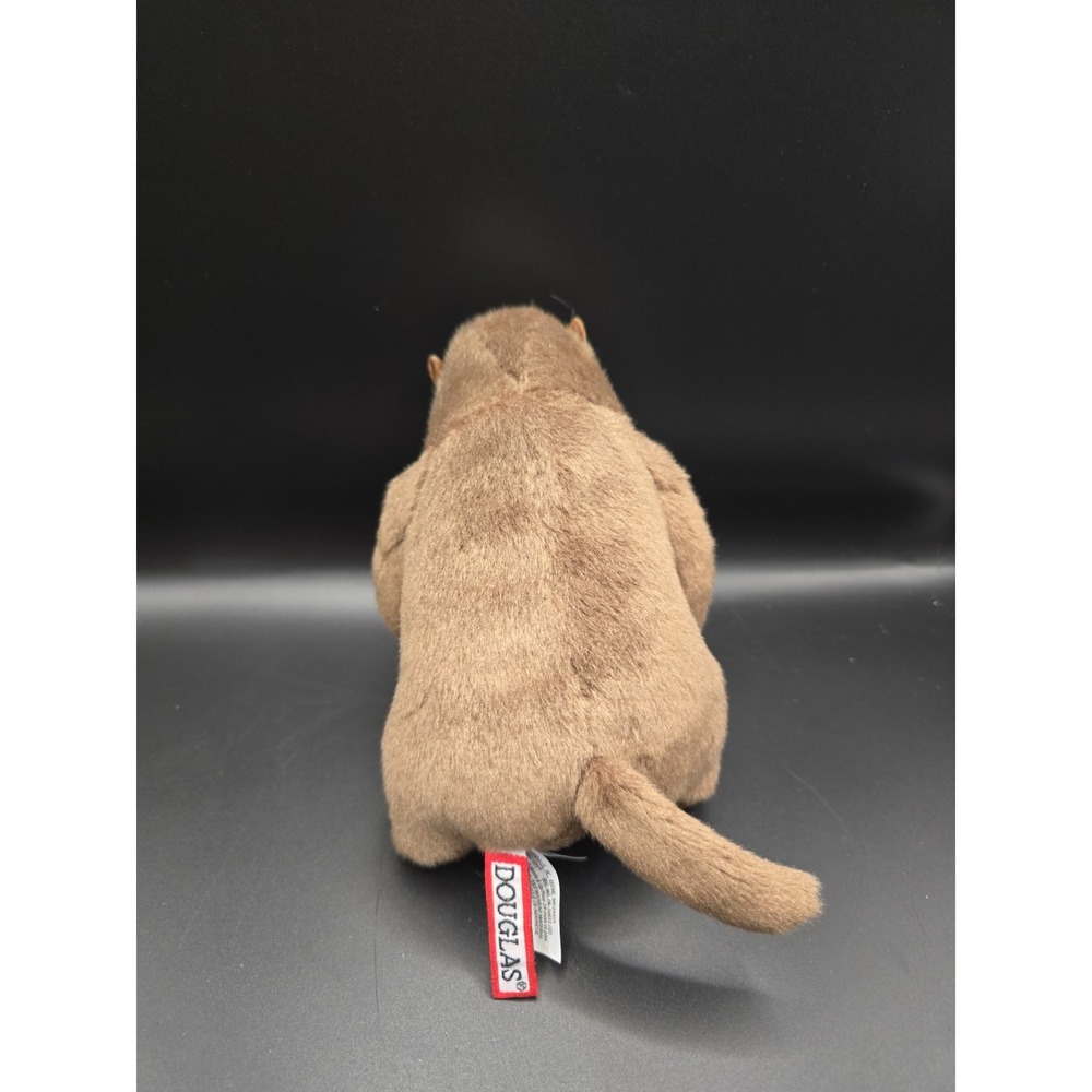 Mr. G Douglas 6" Groundhog plush stuffed animal #4074 - Picture 2 of 3